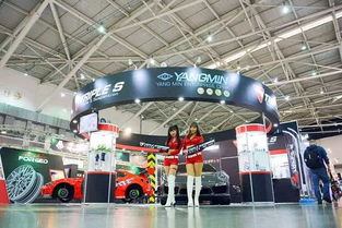 Triple S短彈簧 2017年臺(tái)灣國(guó)際汽車零配件展覽會(huì)的焦點(diǎn)之星
