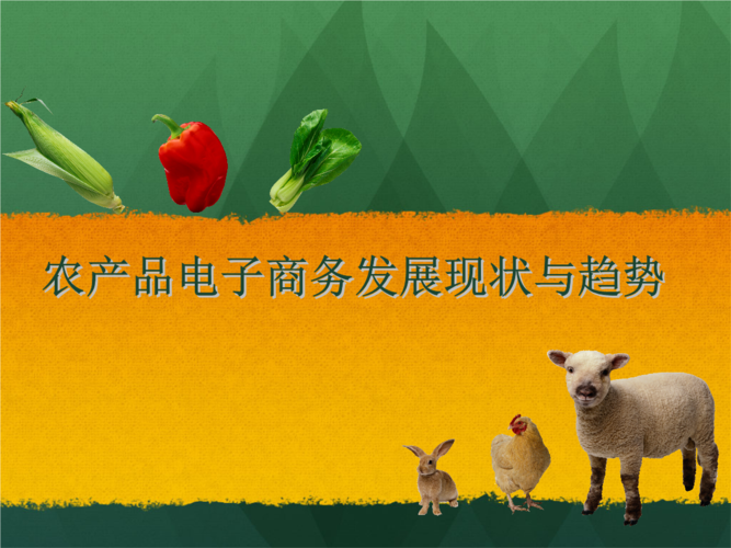 農(nóng)產(chǎn)品電子商務(wù)展現(xiàn)狀與趨勢(shì).pptx